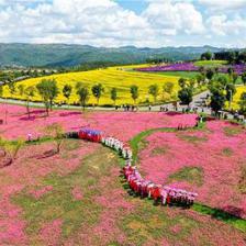 紅河州春節(jié)旅游喜迎開門紅，建水古城引領(lǐng)176萬人次客流熱潮